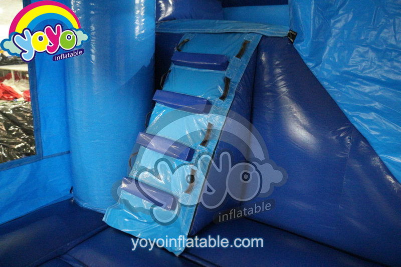 20ft Double Dolphin Inflatable Wet/Dry Combo YY-WCO16019